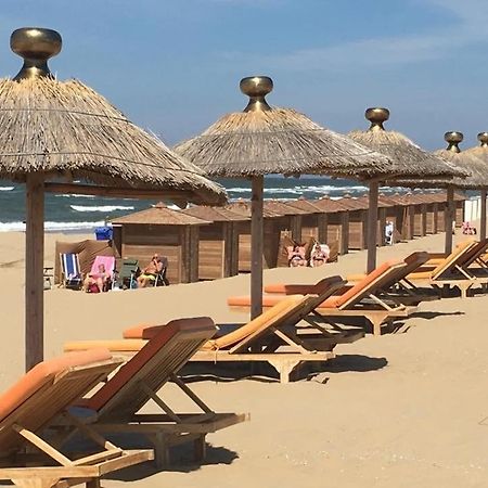 At Sea Lägenhet Katwijk aan Zee Exteriör bild