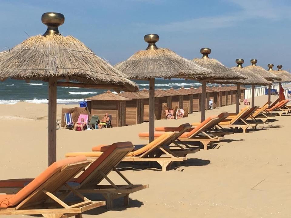 At Sea Lägenhet Katwijk aan Zee Exteriör bild