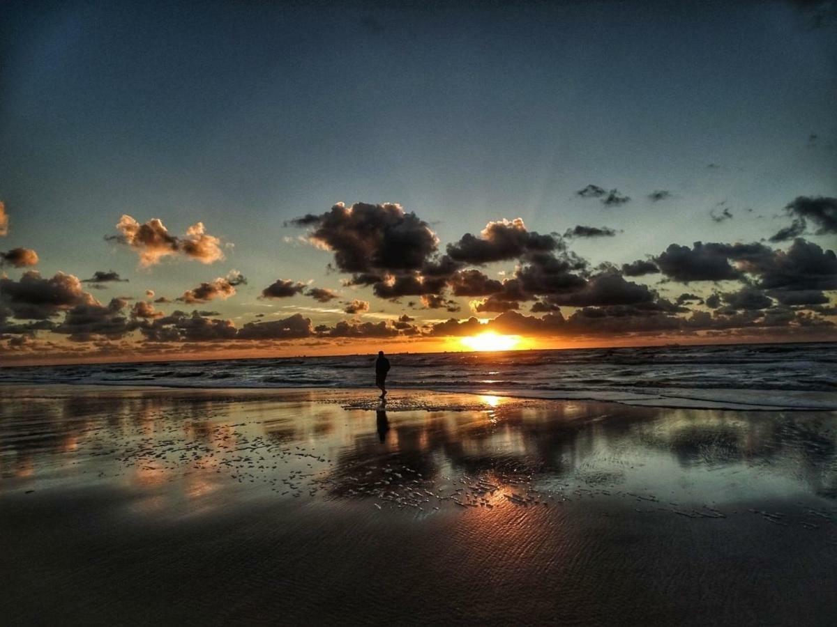 At Sea Lägenhet Katwijk aan Zee Exteriör bild
