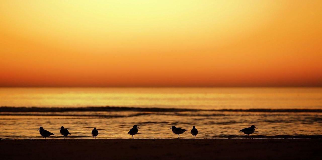 At Sea Lägenhet Katwijk aan Zee Exteriör bild
